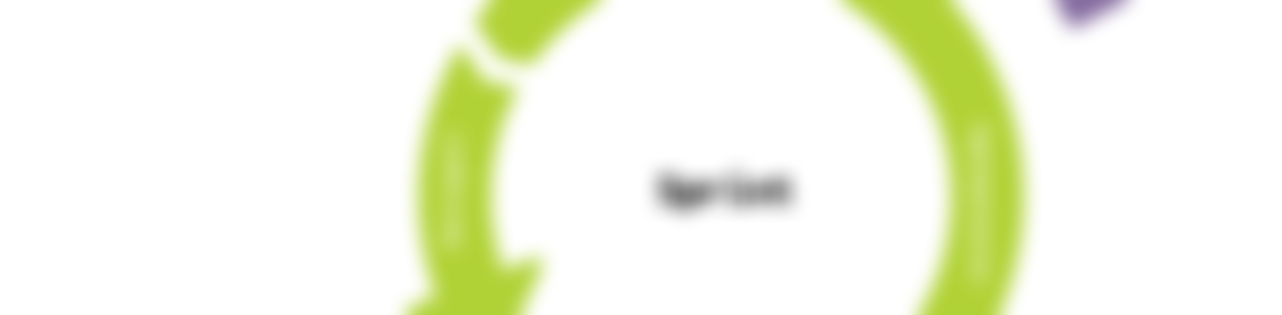 Service Design and Product Management in Growing Companies