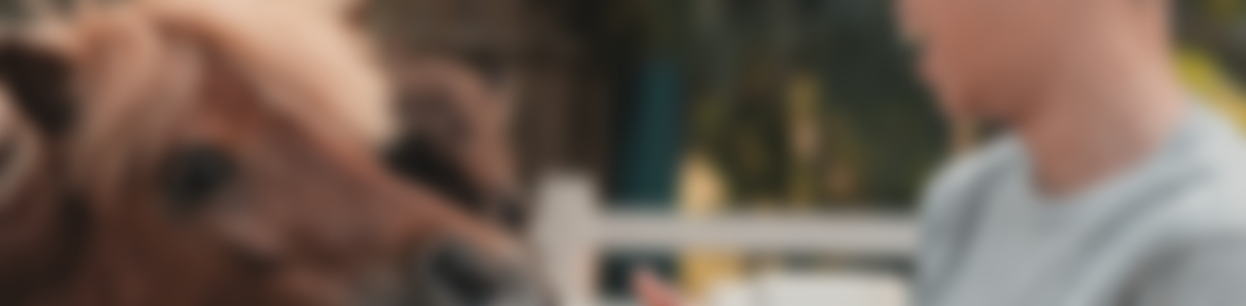 Faith Equestrian Service Branding.