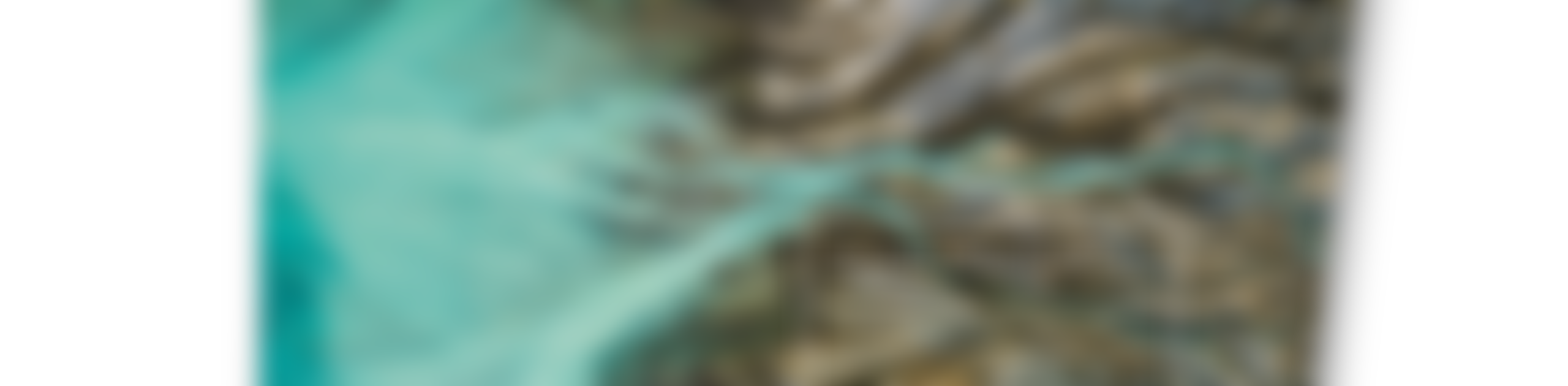 Editors Letter | From AI to Synthetic Services