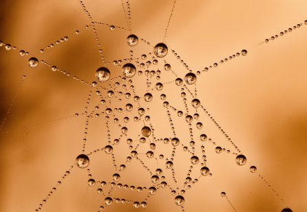 The transformation of business transformation