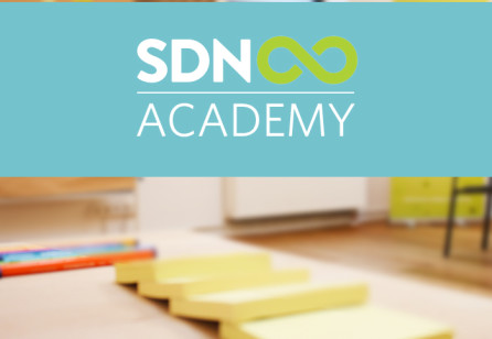 SDN Academy – Service Design Lehrgang 2018