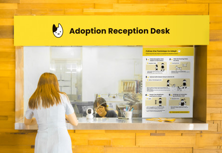 Connect and Adopt - Shaping Adoption Journeys (SDN Award  Finalist 2024)