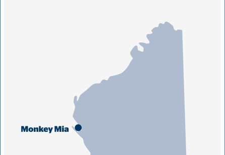 Co-designing the RAC Monkey Mia Dolphin Resort Visual Story