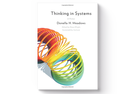 Thinking in Systems: A Primer